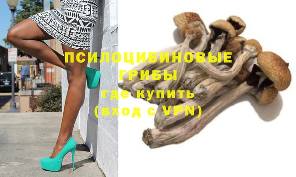 прущая мука Бородино