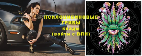 молекула духа Верея