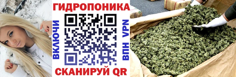 KRAKEN как войти  Володарск  Канабис планчик 